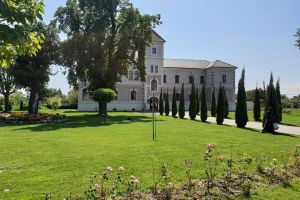 FOTO, VIDEO. S-a lansat proiectul pe POCU, Servicii integrate de mediere pe piaţa muncii, la Domeniile Mar’tinutzi din Vinţu de Jos