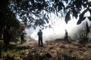 FOTO. Incendiu în grădina unei gospodării. Intervin pompierii