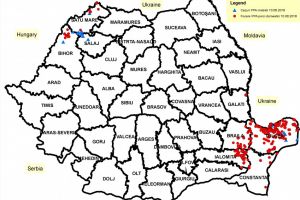 Actualizarea situatiei privind evolutia Pestei Porcine Africane in tara noastra