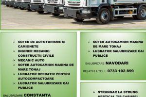 Polaris M Holding angajeaza