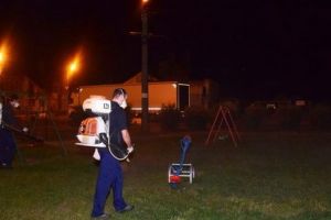 Dezinsecţie pe domeniul public şi privat al municipiului Târgu-Mureş