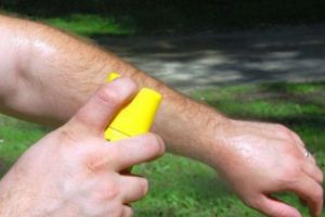 PANICĂ în toată ţara. Virusul UCIGAȘ se extinde. MĂSURI URGENTE pentru evitarea infestării