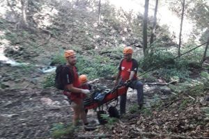 Un lucrător forestier a murit în Munţii Nemira