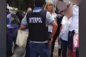 Tolontan: Care este adevărata miza a arestării Elenei Udrea