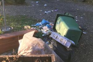 Din activităţile ursului, pe lângă casă!