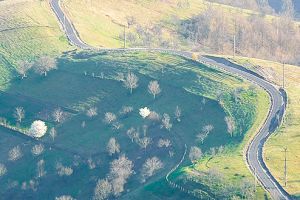 REŢ sau când Dumnezeu te ajută, dar nu te împinge de la spate