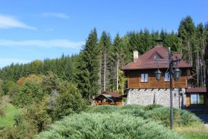 Invitaţie la drumeţie. Dealul Negru, un amalgam de culori tomnatice