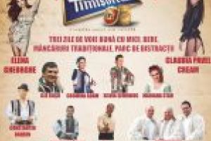 FESTIVALUL TOAMNEI 2018