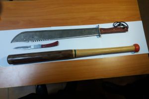 Slobozia: Purta permanent macetă şi bâtă…