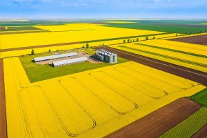 Cultivând pământul, creştem comunitatea.