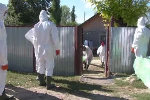 ALERTĂ! Pelerinii ce vor veni la Sărbătorile Iaşului pot aduce pesta porcină