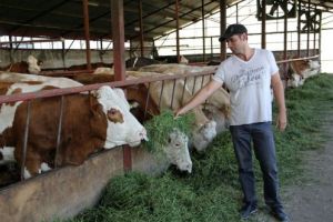 Care vor fi fermierii excluşi de la plata avansului APIA