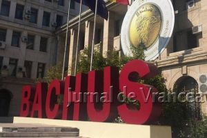 Cine cântă la Bachus 2018 la Focşani. PROGRAMUL OFICIAL