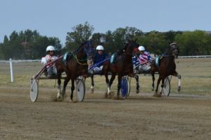 Derby cu free style şi dresură!