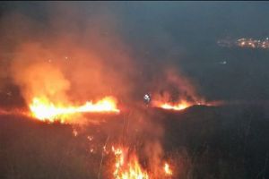 ALERTĂ la Tulcea. INCENDIU URIAȘ la marginea oraşului

