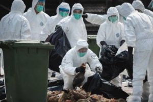 PERICOL la graniţă! VIRUSUL UCIGAȘ a fost descoperit în urmă cu puţin timp. S-au luat măsuri DRASTICE