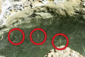 ȘOCANT. O PROFȚIE BIBLICĂ ce ÎNGROZEȘTE OMENIREA. ÎNCEPUTUL SFÂRȘITULUI!