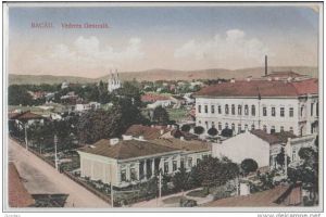 610 ani de la atestarea documentară a Bacăului