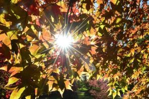 Vremea până în 5 noiembrie – Ce se întâmplă cu temperaturile