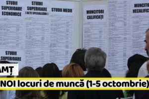AJOFM Neamţ: 120 NOI locuri de muncă, comunicate în săptămâna 1-5 octombrie