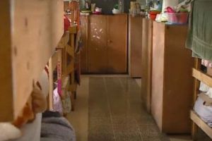 Ce le aşteaptă pe UDREA şi BICA în IADUL PUȘCĂRIAȘELOR. RAPORTUL care scote la IVEALĂ ABUZURILE INIMAGINABILE