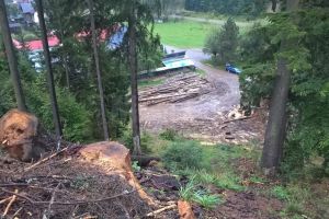 Imagine dezolantă, cu arbori tăiaţi şi abandonaţi, lângă Chilia lui Daniil Sihastrul