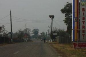 Referendum pentru familie. PRIMA FRAUDĂ. Acuzaţii GRAVE. Angajata primăriei PRINSĂ cu buletine de VOT  ȘTAMPILATE