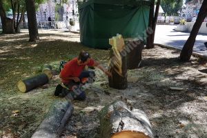 INEDIT: Demonstraţii de sculptură cu drujba, la Pucioasa (VIDEO)