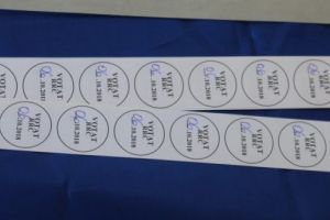 Referendumul pentru familie – prezenţa la urne la ora 13.00