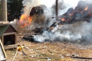 Incendiu violent in localitatea Runcu, judetul Constanta. Cinci persoane au avut nevoie de ingrijiri medicale. De la ce a pornit focul (galerie foto)