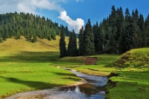 Săptămâna Ariilor Protejate, derulată şi la Gorj