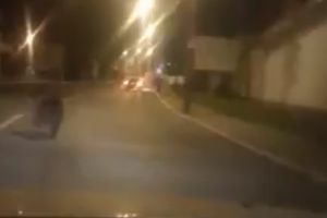 Urs rătăcit pe străzile din Săcele