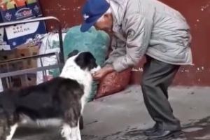 Bunătatea unui om simplu. E lecţie pentru mulţi dintre noi - VIDEO