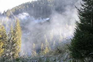 Incendiu de pădure urmat de un accident rutier montan şi o asanare pirotehnică, scenariul ...