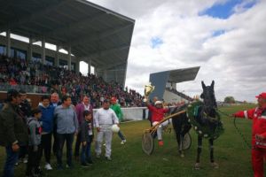 Atmosfera senzationala pe Hipodromul Ploiesti. 3000 de spectatori au fost prezenti la derby-ul de trap al Romaniei