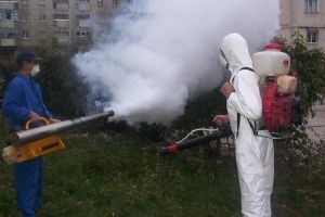 O nouă acţiune de dezinsecţie în municipiul Satu Mare