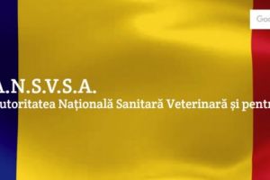 Controale ale ANSVA in industria agroalimentara. Au fost aplicate amenzi 