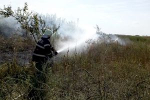 Zeci de incendii de vegetatie uscata, in weekend, in Timis