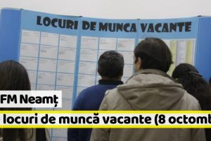 AJOFM Neamţ: 850 locuri de muncă vacante la data de 8 octombrie 2018