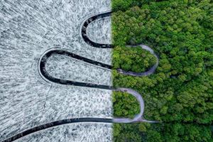 Artistul orădean Ovi D. Pop, câştigătorul unei secţiuni la 