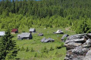 Săptămâna Ariilor Protejate – De vorbă cu natura