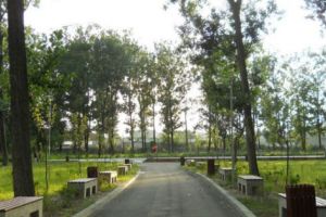 Noi parcuri în Lunca Argeşului?