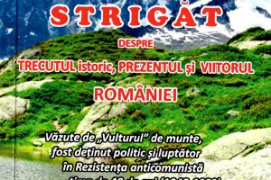 Note de lectură – STRIGĂT