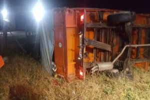 Duba şi BMW-ul s-au lovit la Mărăcineni