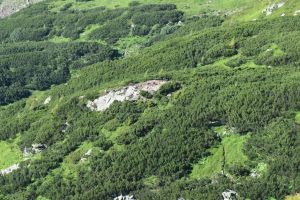 Se evaluează efectivele de capră neagră din Parcul Naţional Munţii Rodnei