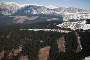 Carpaţii, plamanul Europei, taiat bucata cu bucata si vandut strainilor