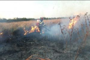 Apelul pompierilor: ”Nu mai incendiaţi miriştile!”