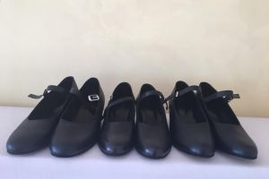 Proiectul „Nimeni nu-i ca mine-n sat” a fost finanţat de CJ