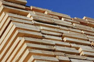 Cherestea confiscată şi un autocamion reţinut, în urma unor încercări de fraudă cu avize ...