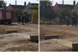 Caine salvat de pompieri de sub un podet, in Timis